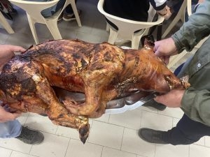 fête entre amis a l'esperou accueil avec un cochon au repas