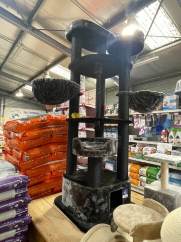 animalerie-anim-al-nimes.jpg Intérieur de l’animalerie A’Nim Al à Nîmes, spécialisée dans le bien-être des animaux